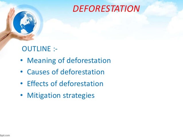 solutions to deforestation in the amazon how can high school students contribute and become involved in deforestation